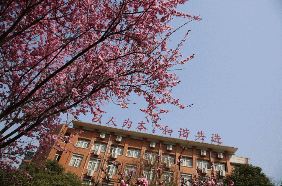 上图片,你们感受下~ 发出的感慨: 